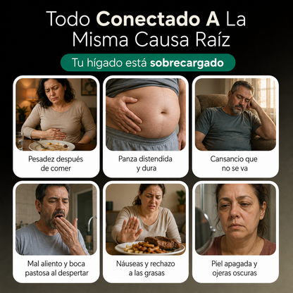 Cápsulas de Soporte para el Hígado por Selawell™