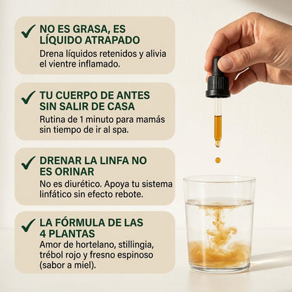 Pack 4 Meses SelaWell | Gotas para el Vientre Inflamado y Líquido Retenido Postparto