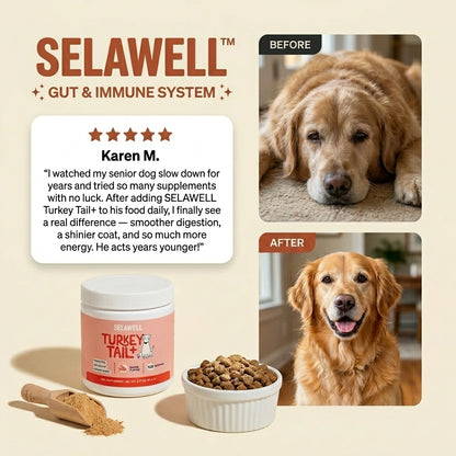 SELAWELL Vital Years+