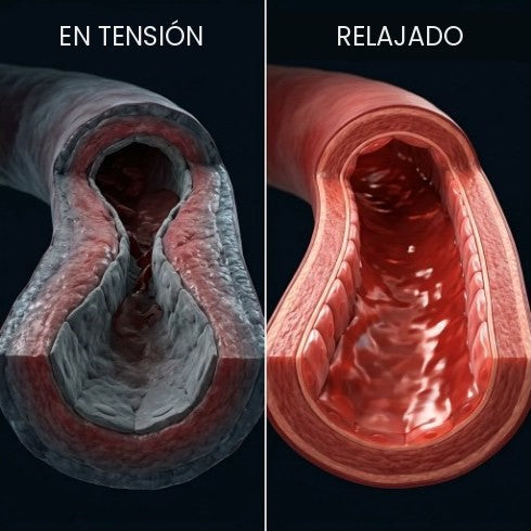 Cuerpo en tensión frente a cuerpo relajado