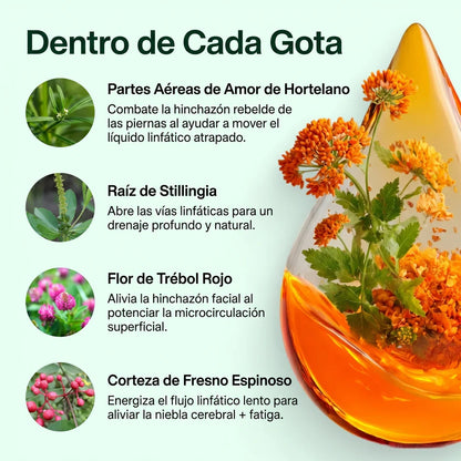 Selawell | Gotas de Bienestar para Drenaje Linfático